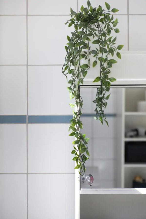 Bern Zwei Zimmer Im Jugendstilhaus Mit Garten Ngoại thất bức ảnh